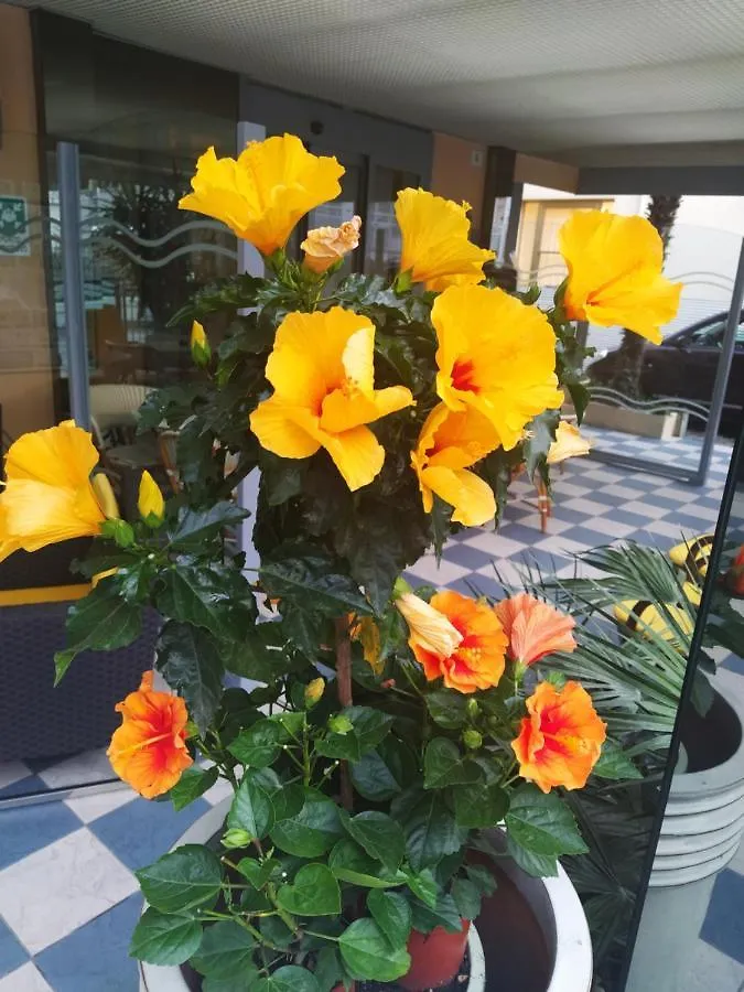 Hotel Venezia Rimini 3*,  Italien